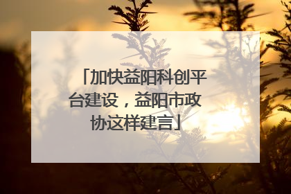 加快益阳科创平台建设，益阳市政协这样建言